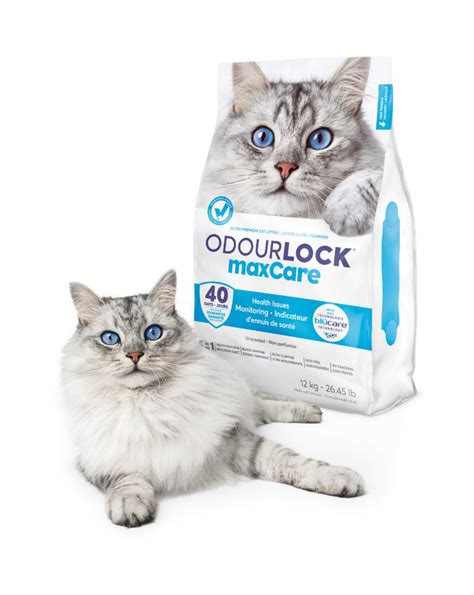 OdourLock MaxCare Litière Chat indicateur de santé INTERSAND