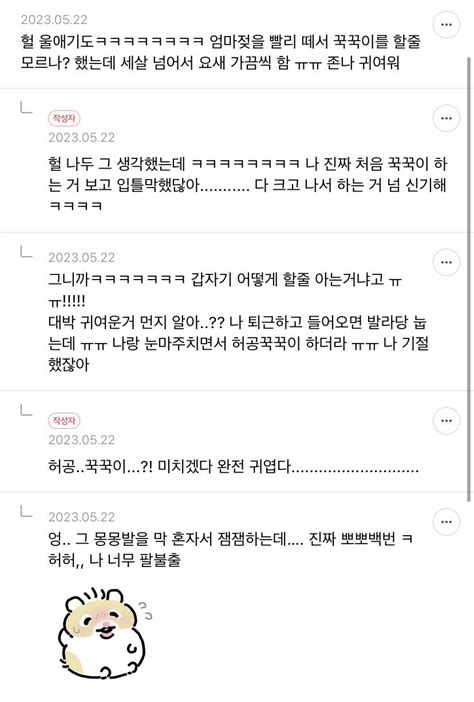 빵귀염 울냥이 애기 때는 꾹꾹이 절대 안 하길래 꾹꾹이 못 하는구나 라고 생각했는데 인스티즈instiz 이슈 카테고리