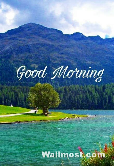 170 Good Morning Scenery Images And Wishes Good Morning Wishes