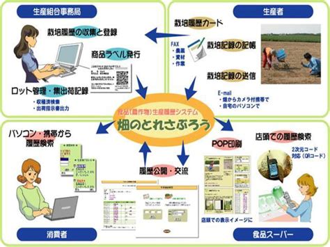 斗南農會根莖類作物 生產履歷資訊系統之建立 Ppt Download