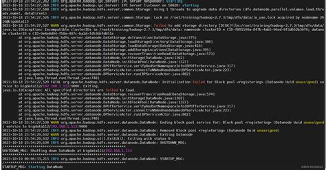 Hadoop报错之 java io IOException All specified directories are failed