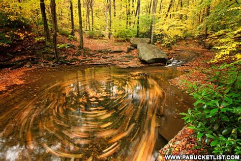 9 Must See Attractions In The Forbes State Forest