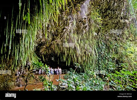 1948 Fern Grotto Wailua Kauai Hawaii Usa Stock Photo Alamy