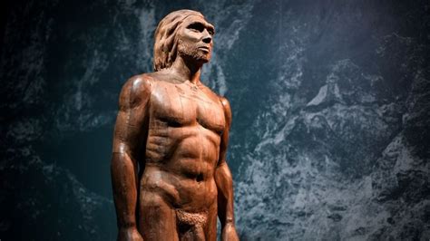 Qué se sabe de la vida secreta de los niños neandertales Noticias