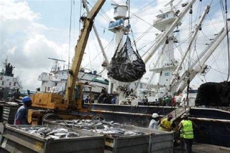 Bientôt une usine de transformation de poissons au Nord est Bétail d