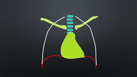 ABCDE of Chest X-Ray - Use the RIPE Approach! — Take Aurally