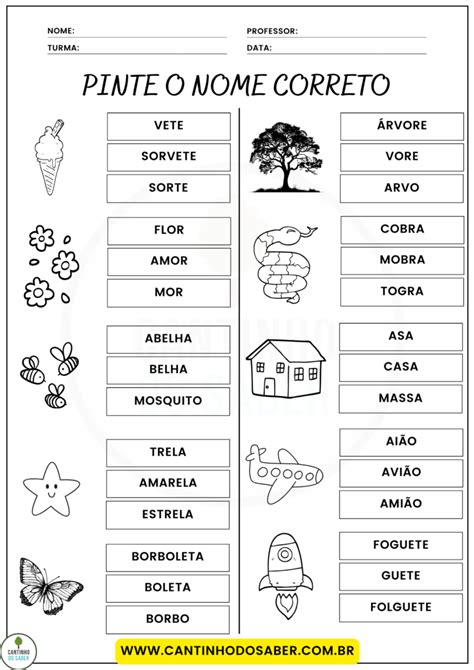 ATIVIDADE PINTE O NOME CORRETO Atividades para a Educação Infantil