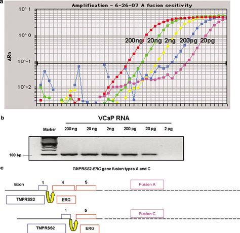 Sensitivity Assay For Tmprss Erg Fusion And Schematic Representation