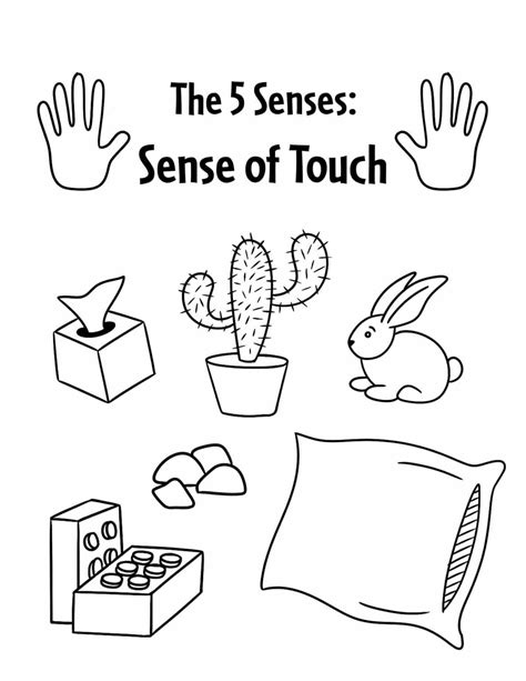 The 5 Senses Worksheets For Preschool ⋆ The Hollydog Blog