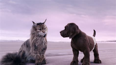 CHIEN ET CHAT de Reem Kherici au cinéma dès vendredi le 29 mars 2024