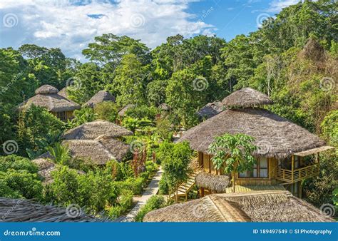 Amazon Rainforest Lodge Fog, Ecuador Stock Image - Image of adventure ...