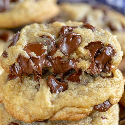 Gooey Melty Chocolate Chip Cookie