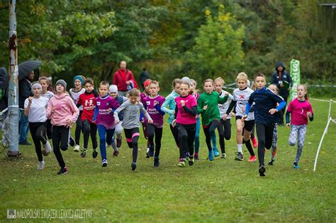 Grand Prix Krakowa W Biegach Prze Ajowych Ma Opolski