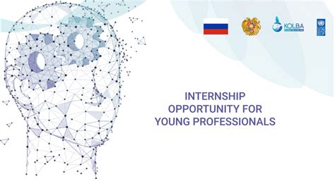 Internship for young professionals | United Nations Development Programme