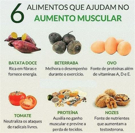 6 Alimentos Para Massa Muscular Ganho de peso saudável Alimentos