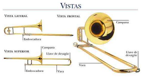 Parte De La Trompeta