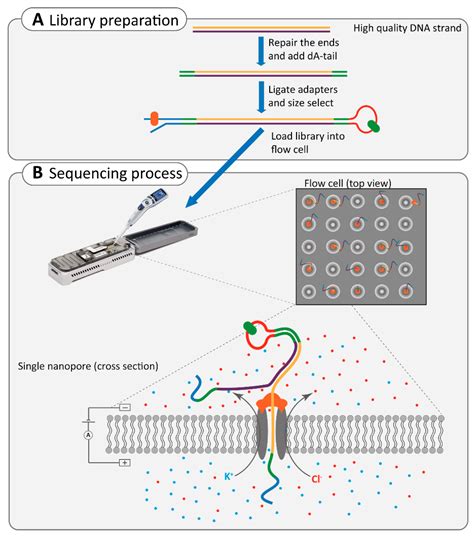 Ijms Free Full Text The Impact Of Modern Technologies On Molecular