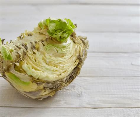 How To Tell If Cabbage Is Bad Food Prep Guide Preserving And Storing Food