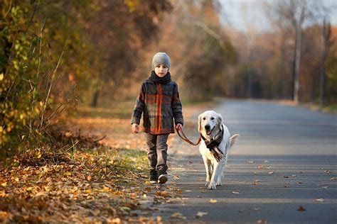 Chronicles of a Dog Trainer: Can my kids walk the dog alone?