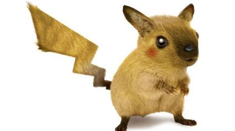 Pokémon à l origine Pikachu était un écureuil