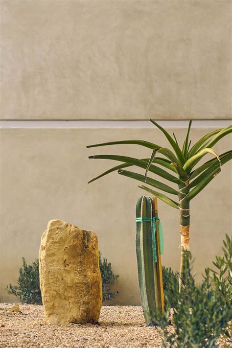 Flynn Ranch “Tranquility” — Nectar