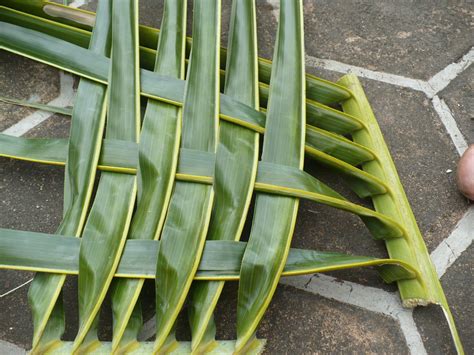 Weaving Coconut Leaf Plates | ThriftyFun