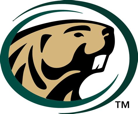 The Computer Science Bemidji State Beavers Logo Clipart Full Size