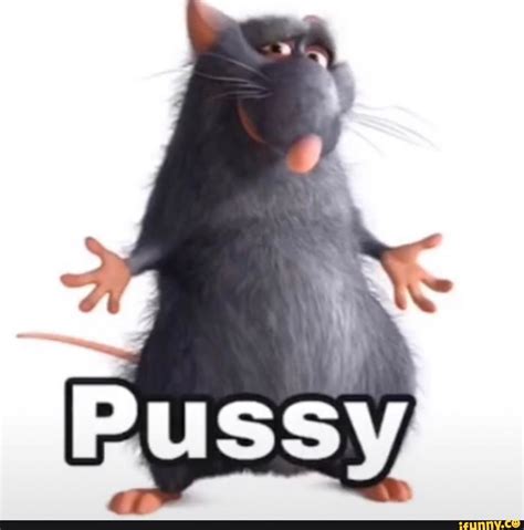 Pussy Rat Funny Ah Hah Hah R Okbuddyretard