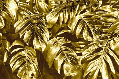 Gold Leaves Background Free Stock Photo 576648