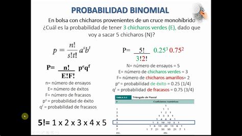 Probabilidad Binomial Youtube