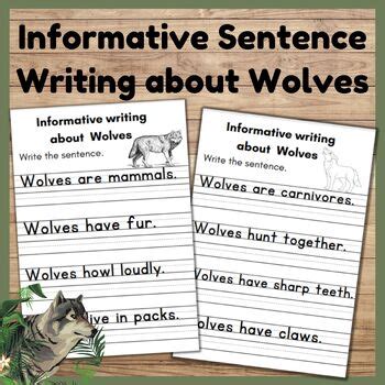 Informative Sentence Writing Practice Worksheets With True Facts Wolves