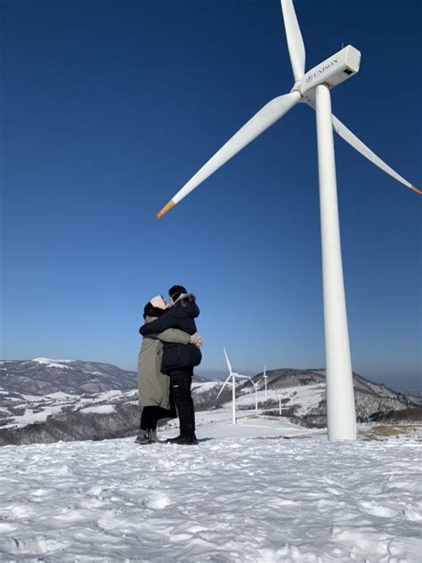 당일치기 강원도여행 300일 대관령삼양목장 주문진 도깨비촬영장 경포대 테라로사 사천점 안목해변 네이버 블로그