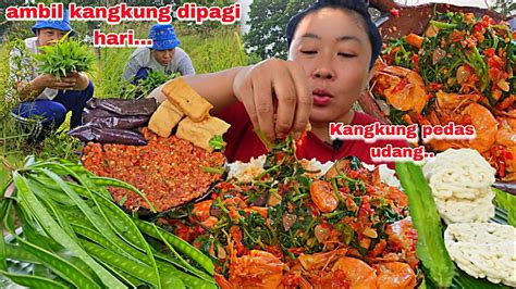 Ambil Kangkung Dipagi Hari Masak Kangkung Udang Pedas Langsung Makan