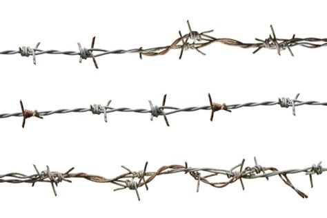 Different Types Of Barbed Wire Edu Svet Gob Gt