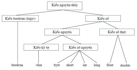 Cac Kieu Du Lieu Trong Java That2U