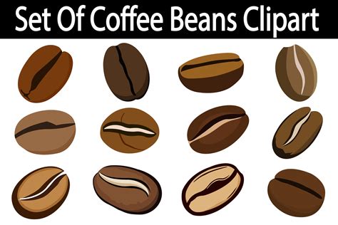 Coffee Beans Graphic By VYCstore Creative Fabrica