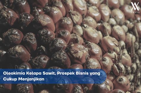 Oleokimia Kelapa Sawit Prospek Bisnis Yang Cukup Menjanjikan Arvis