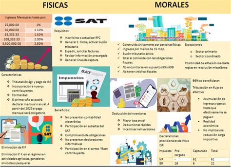 Regimen Simplificado De Confianza