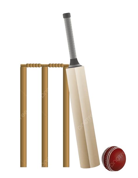 Cricket Batballand Wicket Illustration Sports Cricketer Vector Vector