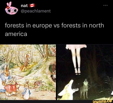 Forests In Europe Vs Forests In North America Ifunny