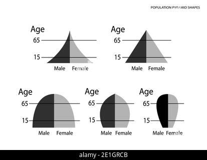 Population And Demography Illustration Set Of 5 Types Of Population