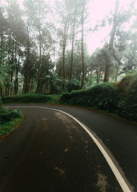 Foto Stok Gratis Tentang Belokan Jalan Jalan Hutan Tembakan Vertikal