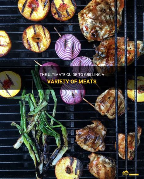 The Ultimate Guide To Grilling A Variety Of Meats Shungrill