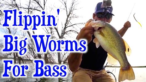 Bass Fishing With Big Worms Gopro Youtube