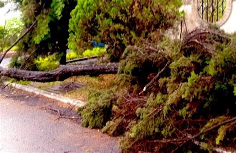 Sorprendente Lluvia Causó Daños En Varios Puntos Del País