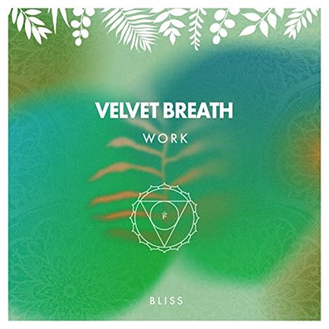 Velvet Breath Work Bliss Deep Sleep Hypnosis Masters Amazon De