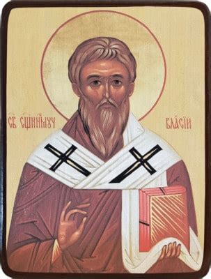 Купить икону Власий Севастийский в интернет-магазине Аминь