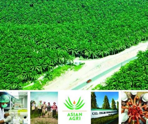 How Asian Agri S Sustainable Practices Mean Better Results Asian Agri