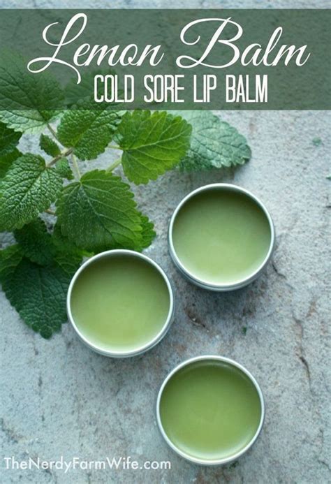 Cold Sore Lip Balm Made With Lemon Balm Artofit