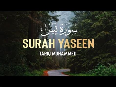 Surah Yasin Yaseen Full With Arabic Beautiful Recitation Ep